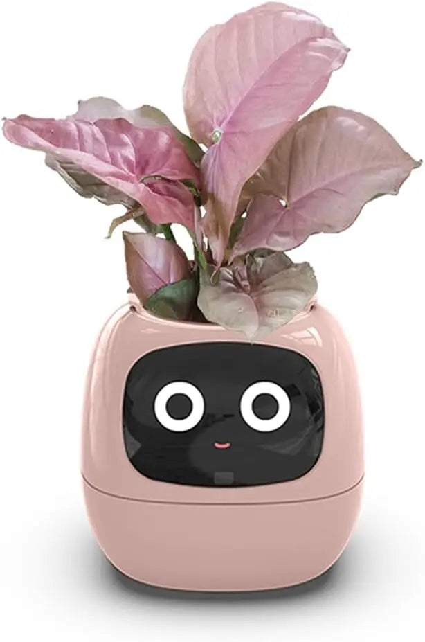 Tuya Ivy Smart Planter