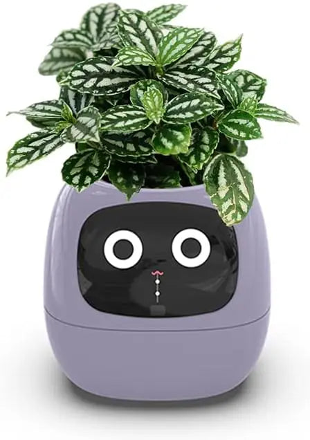 Tuya Ivy Smart Planter