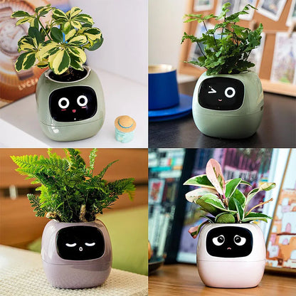 Tuya Ivy Smart Planter